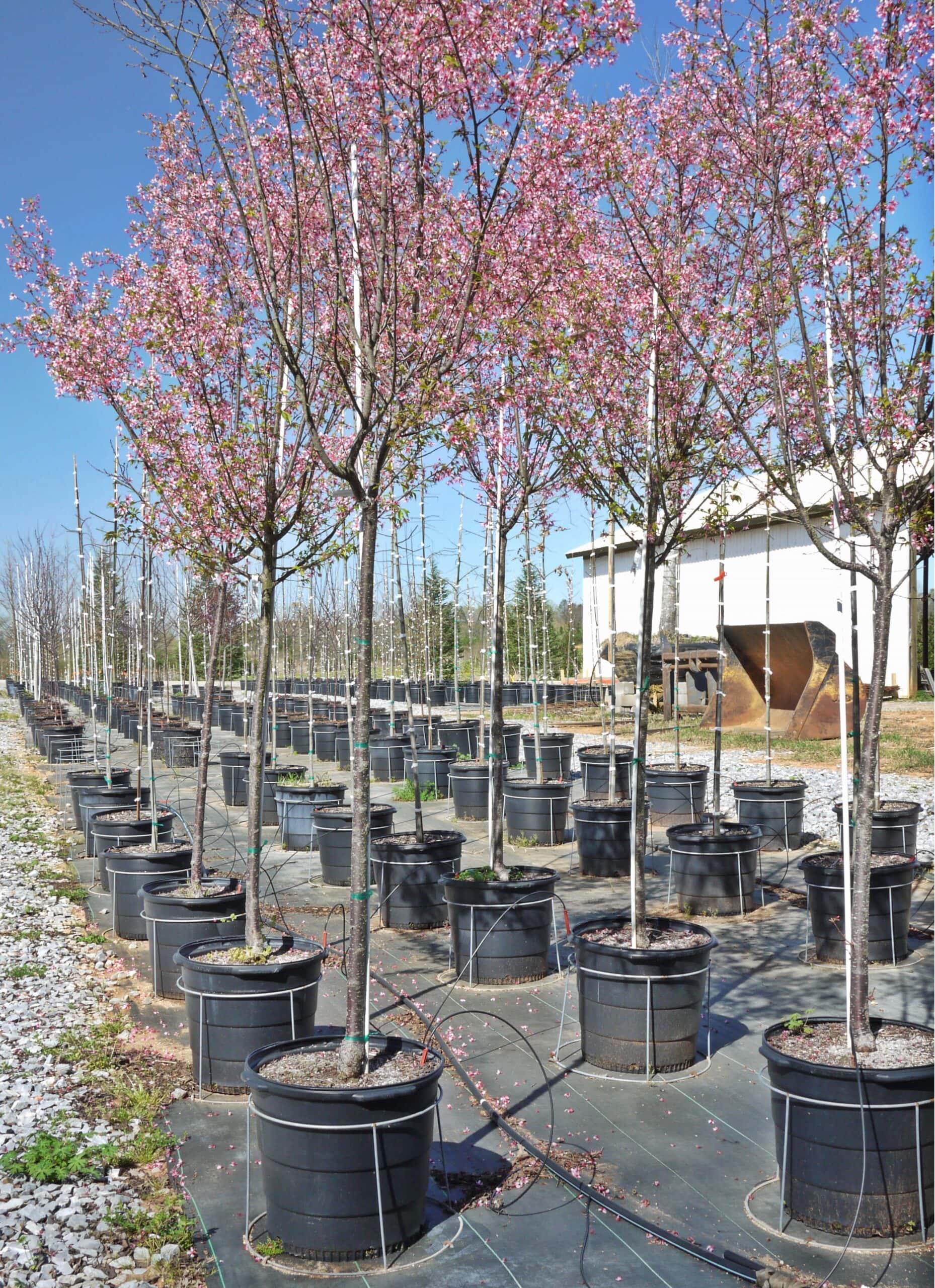 Nursery products